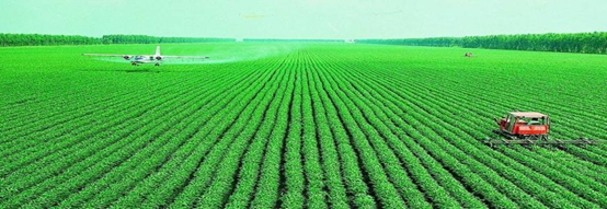 �Zʳ�Nֲ�½���(sh��)�(y��n)�ҙz�y(c��)�(xi��ng)Ŀ���x������