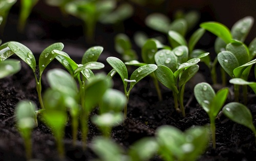 1649648927209802.png image.png