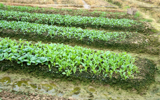 �����B(y��ng)���ٜy(c��)�x