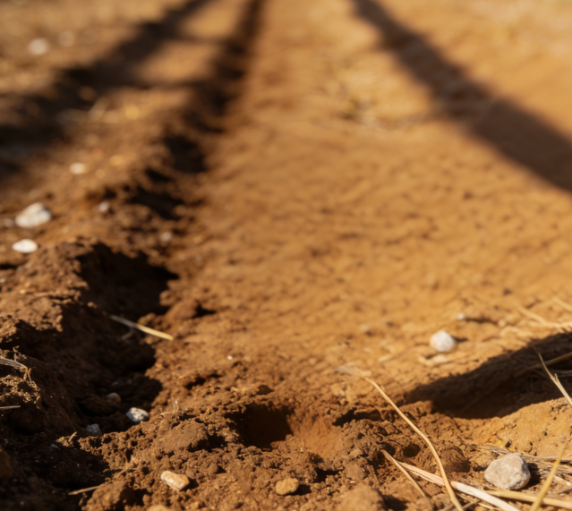 ����Ӳ��Ӌ